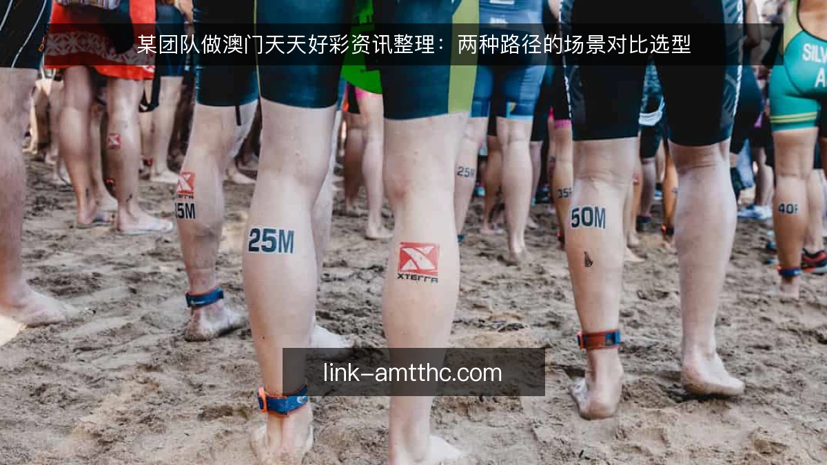 某团队做澳门天天好彩资讯整理：两种路径的场景对比选型